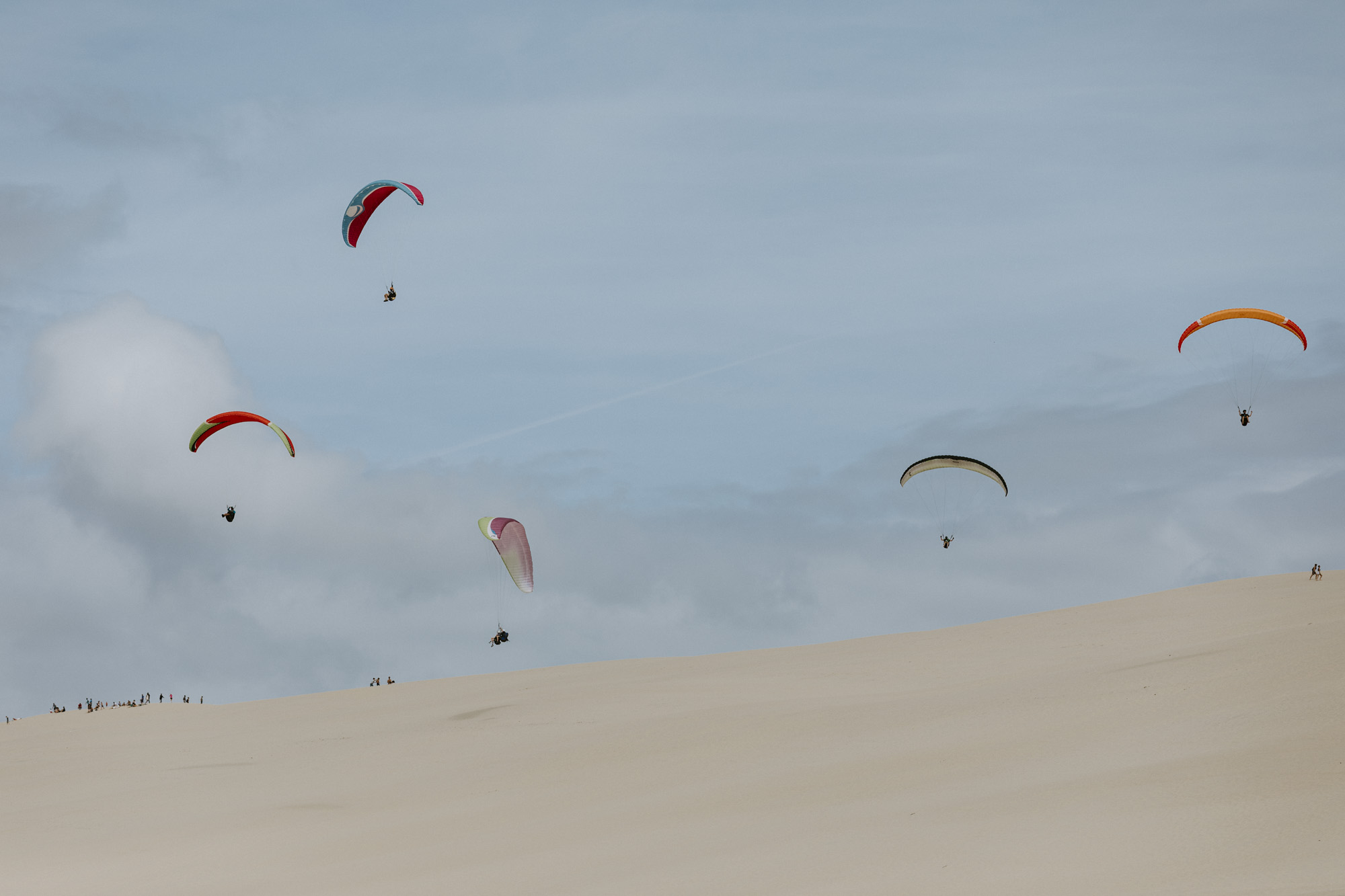 Arcachon wedding photographer: the bay boat is sailing at the botton of Dune du Pyla and all the wedding guests take this opportunity watch the paragliders flirt with the sand
